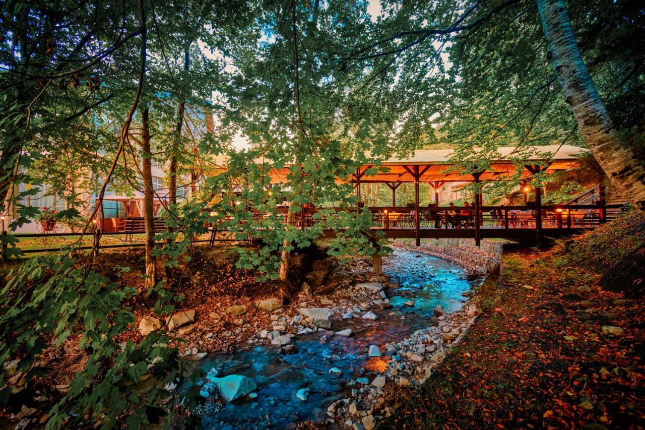 Hotel & Restaurant Sofia Sucevita Ngoại thất bức ảnh
